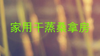 家用干蒸桑拿房