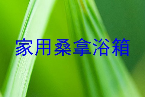 家用桑拿浴箱