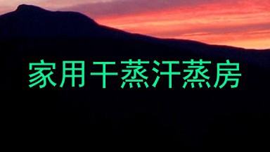 家用干蒸汗蒸房