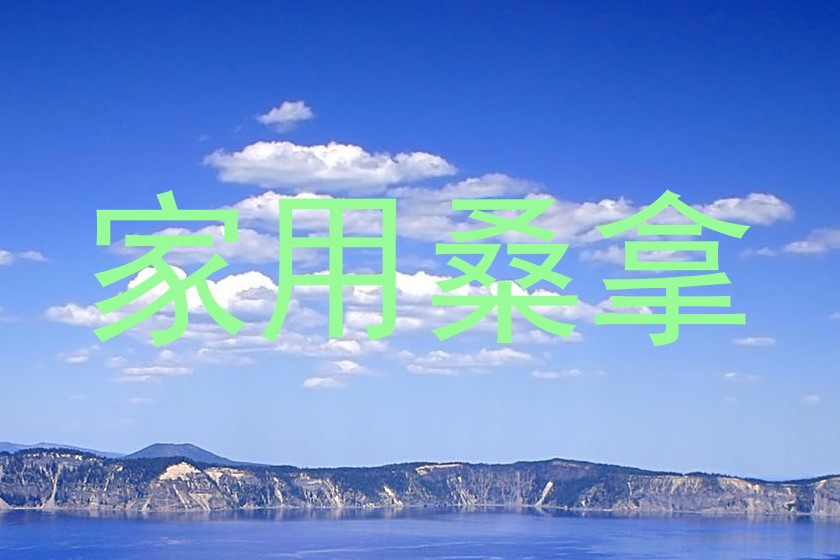 家用桑拿