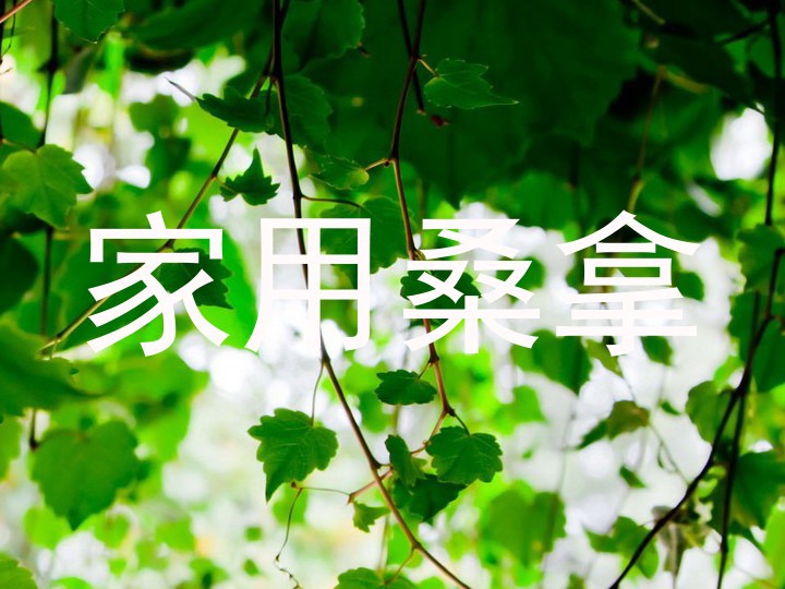 家用桑拿