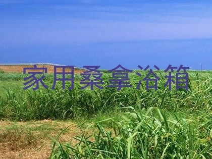 家用桑拿浴箱