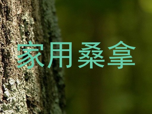 家用桑拿