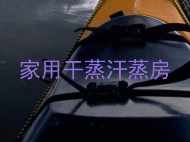家用干蒸汗蒸房