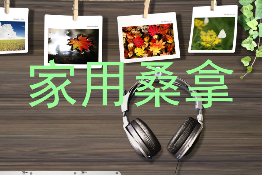 家用桑拿