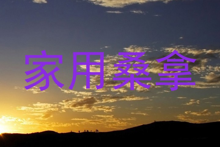 家用桑拿