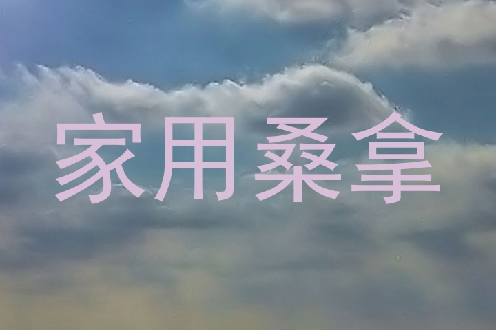 家用桑拿