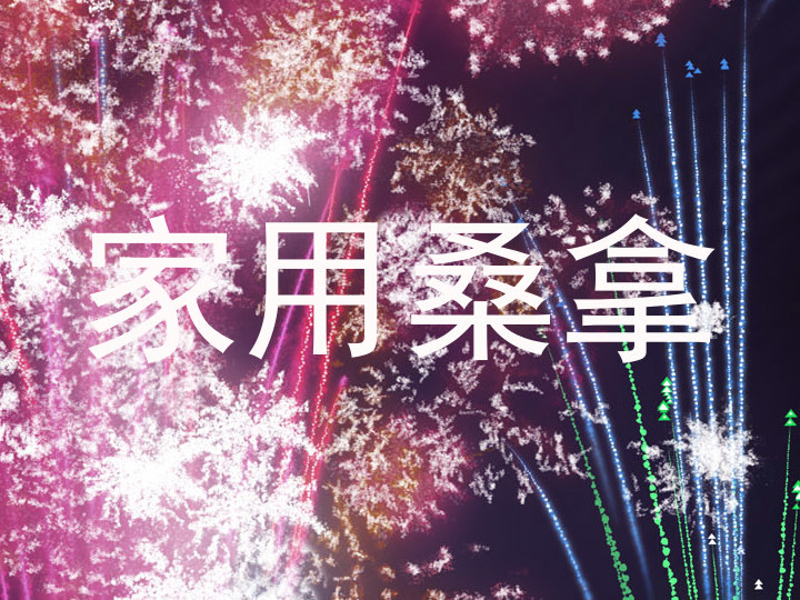 家用桑拿