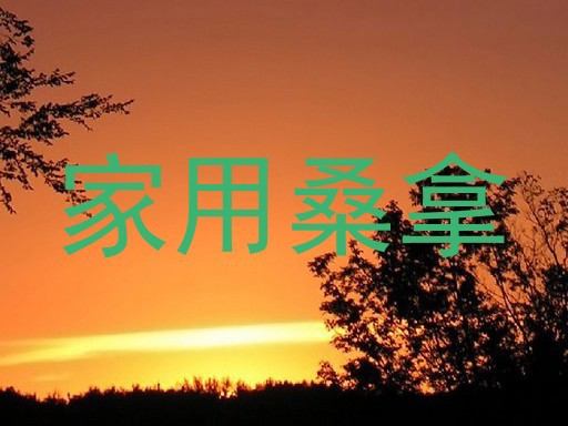 家用桑拿