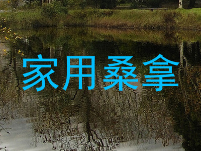 家用桑拿