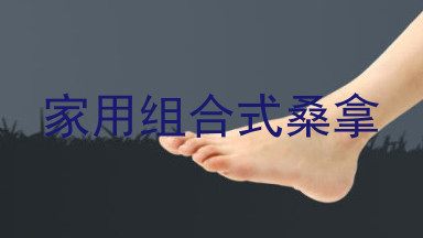 家用组合式桑拿
