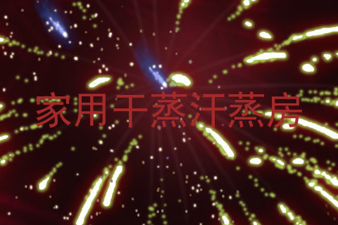 家用干蒸汗蒸房