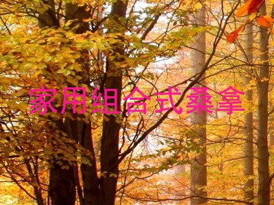 家用组合式桑拿