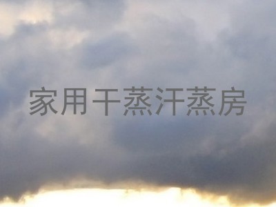 家用干蒸汗蒸房