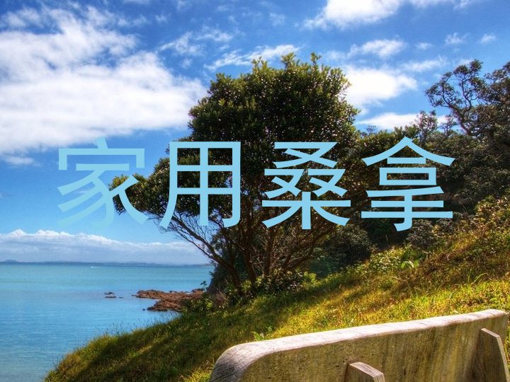 家用桑拿