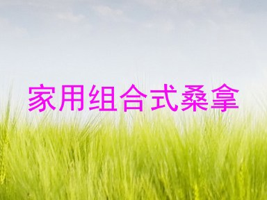 家用组合式桑拿