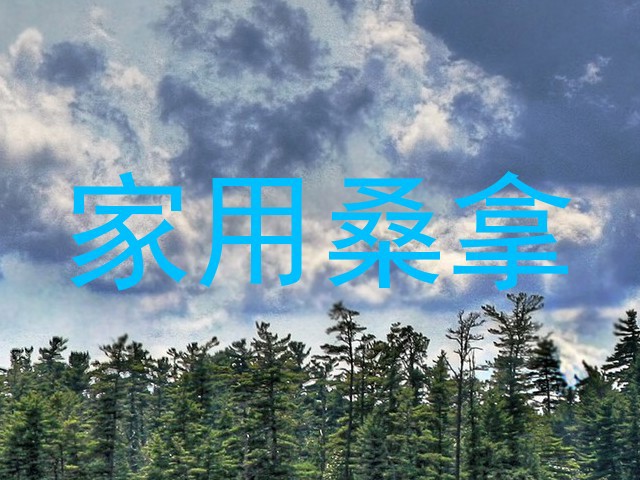 家用桑拿