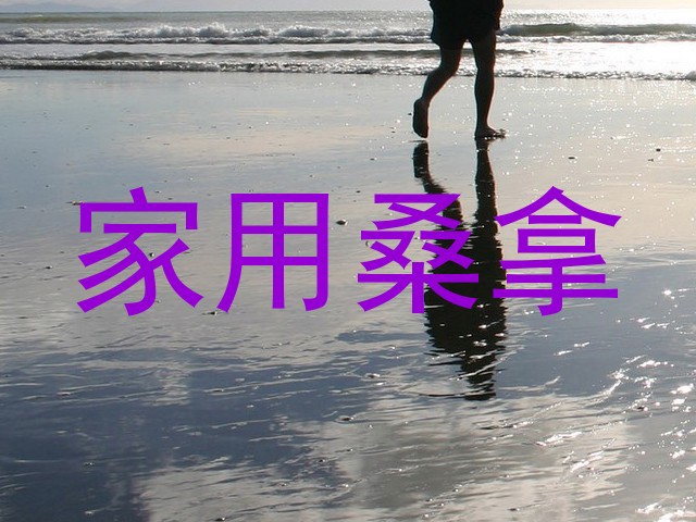 家用桑拿