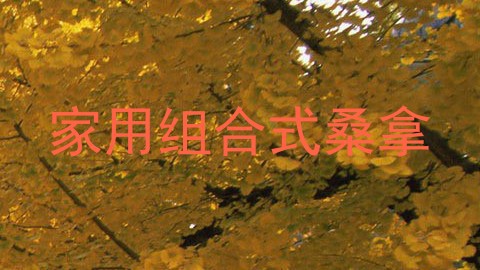 家用组合式桑拿