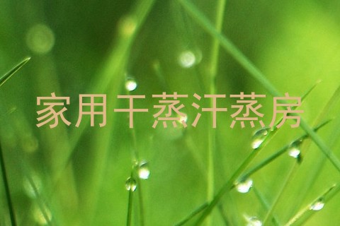 家用干蒸汗蒸房