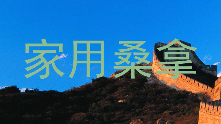 家用桑拿