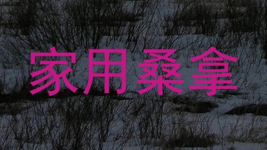 家用桑拿