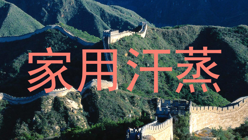 家用汗蒸
