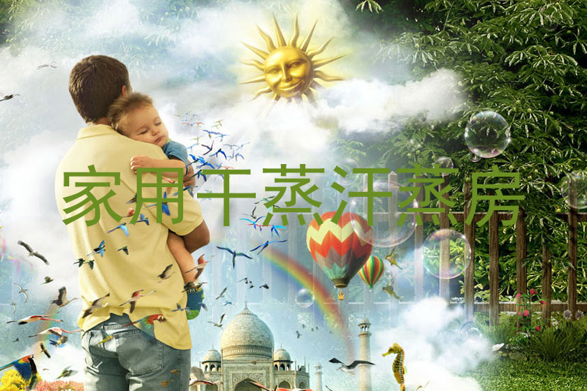 家用干蒸汗蒸房