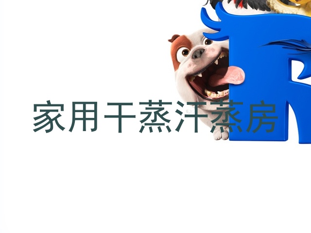 家用干蒸汗蒸房