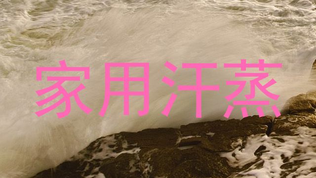 家用汗蒸