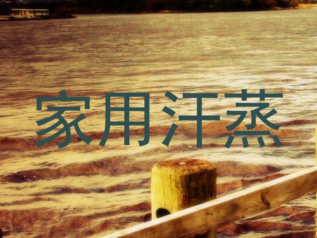 家用汗蒸
