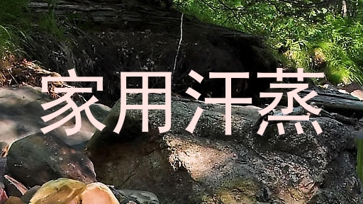 家用汗蒸