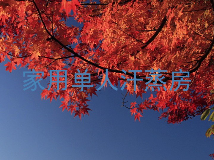 家用单人汗蒸房