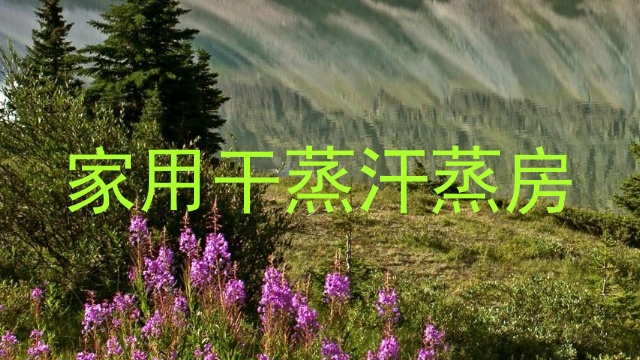 家用干蒸汗蒸房