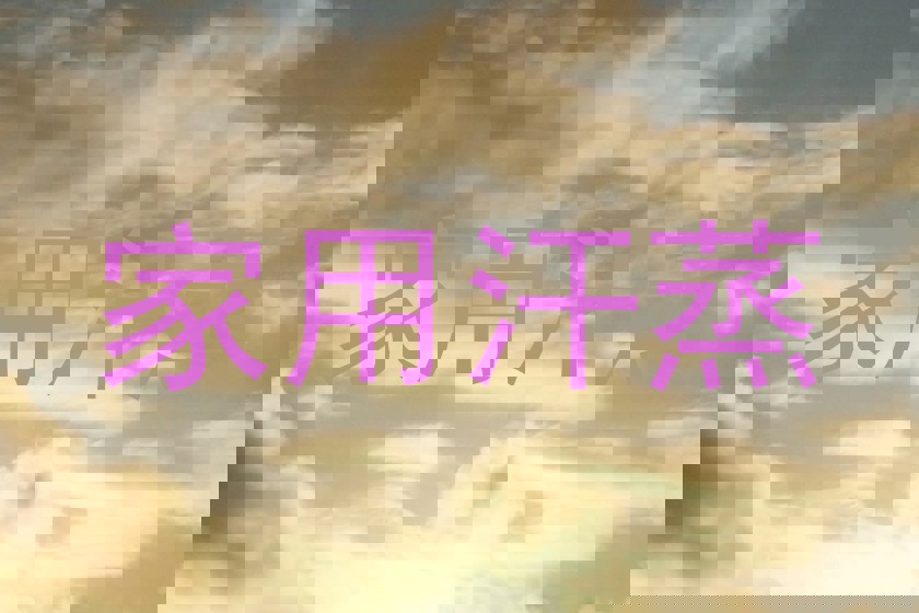 家用汗蒸