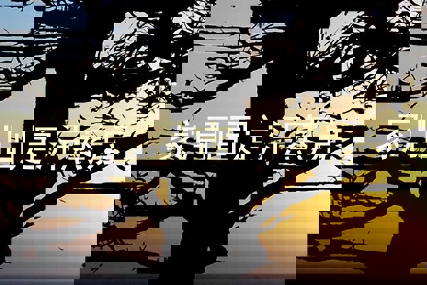 家用固定汗蒸房