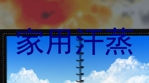 家用汗蒸