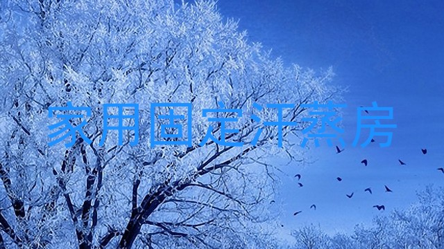 家用固定汗蒸房