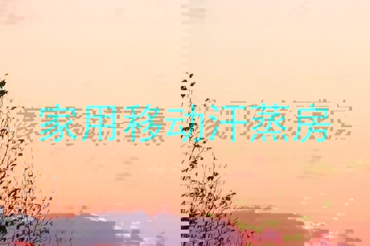 家用移动汗蒸房