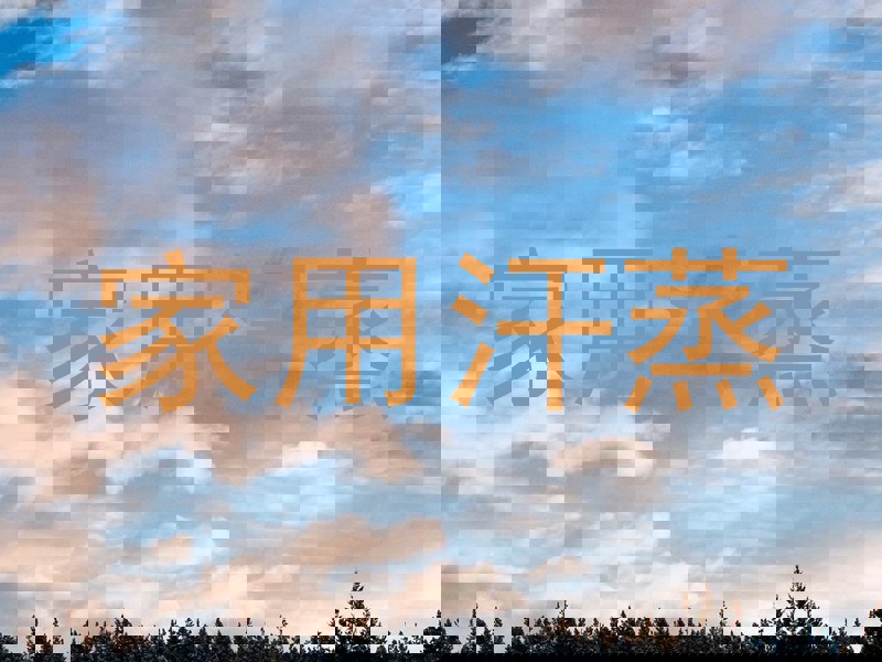 家用汗蒸