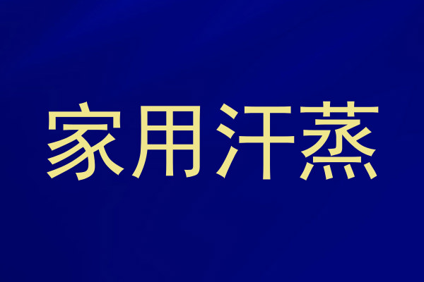家用汗蒸
