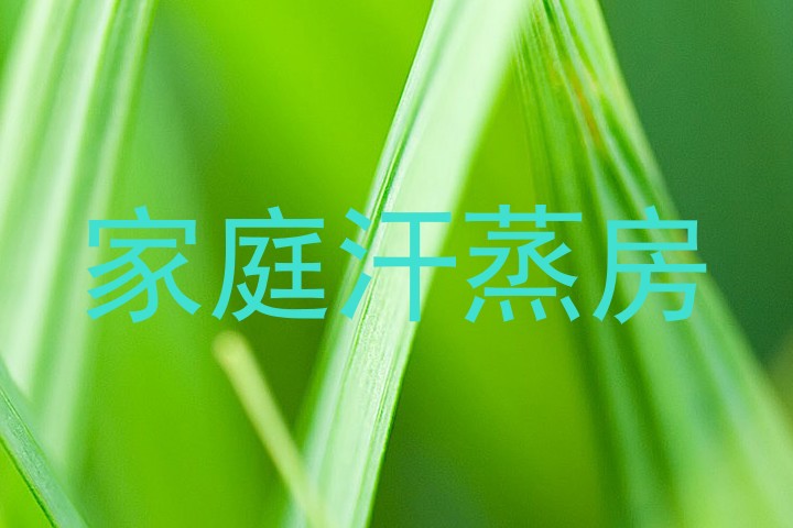 家庭汗蒸房