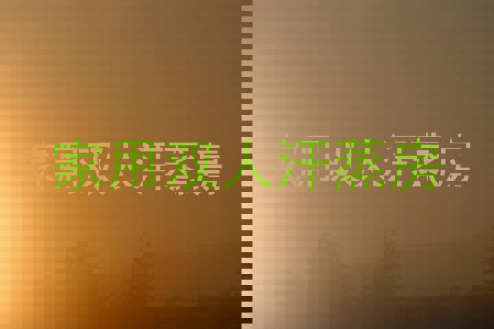 家用双人汗蒸房