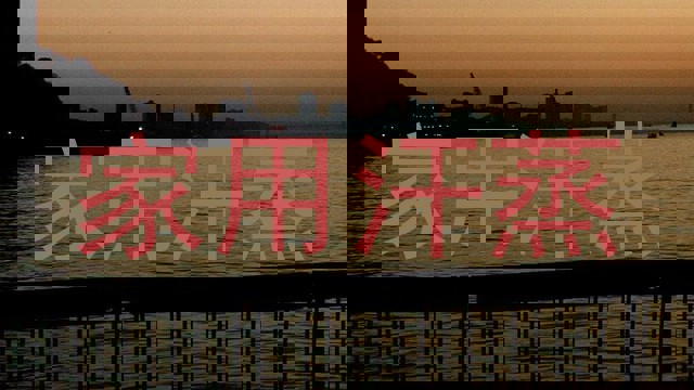 家用汗蒸