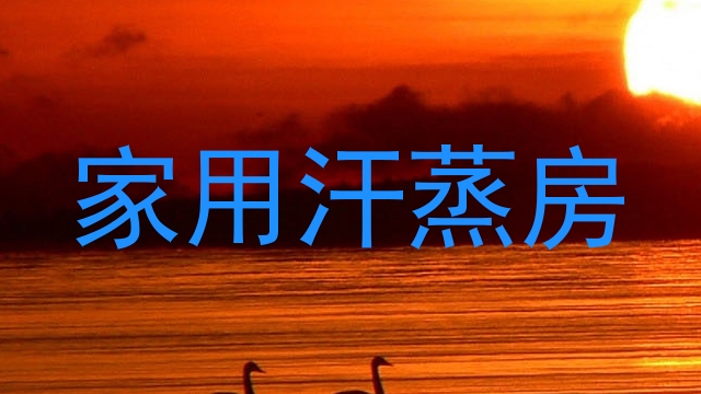 家用汗蒸房