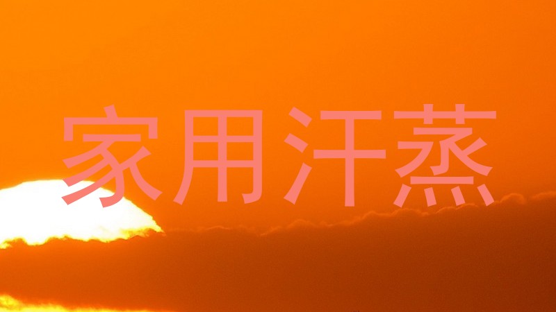 家用汗蒸