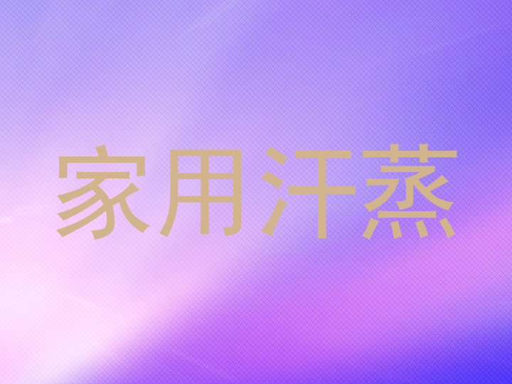 家用汗蒸