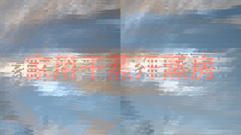 家用干蒸汗蒸房