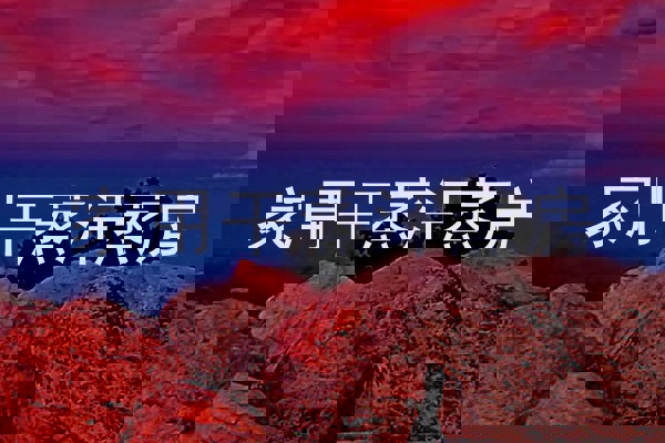 家用干蒸汗蒸房