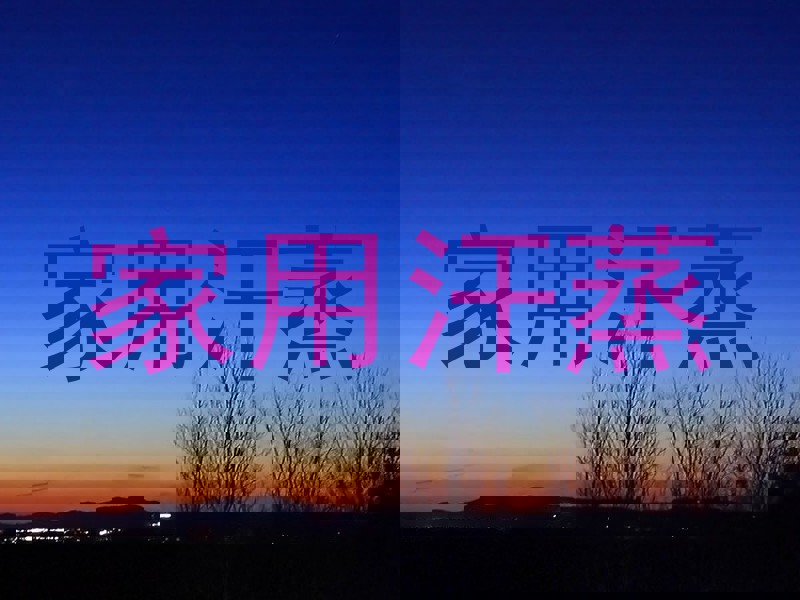 家用汗蒸